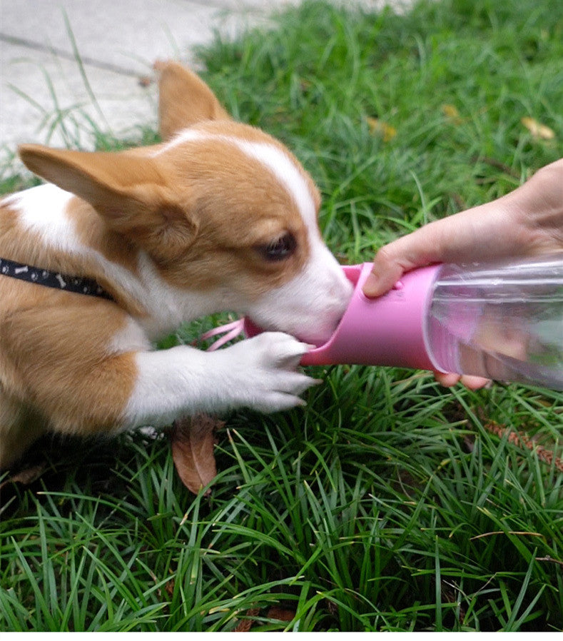 Premium Portable Dog Water Bottle (Leak-Proof Travel Dispenser)