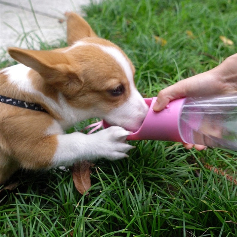 Premium Portable Dog Water Bottle (Leak-Proof Travel Dispenser)