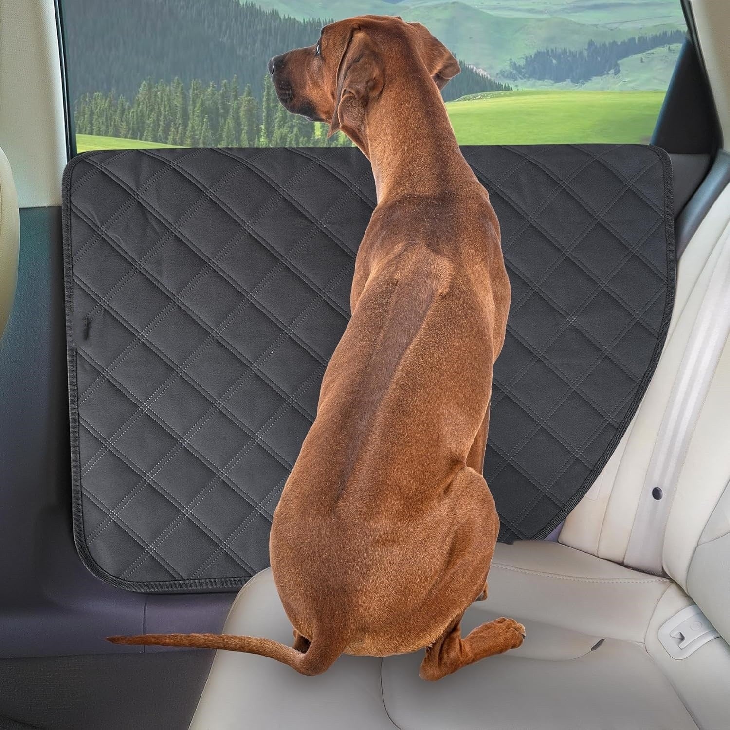 Premium Dog Car Door Protector (Scratch & Dirt Resistant)