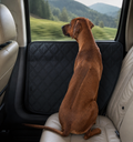 Premium Dog Car Door Protector